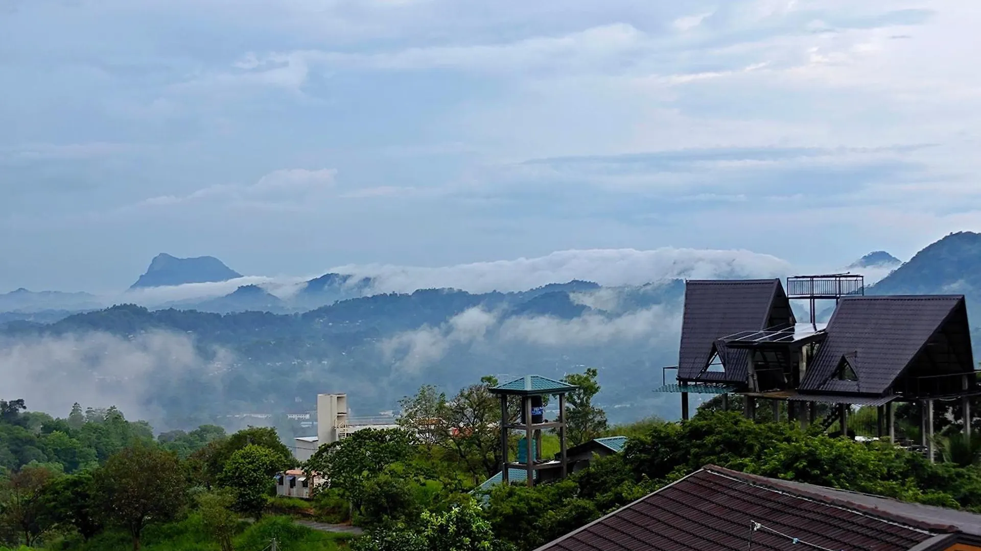 Fog Kandy Sri Lanka